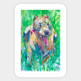 PIT BULL YAWNING IN THE GARDEN - watercolor portrait Sticker